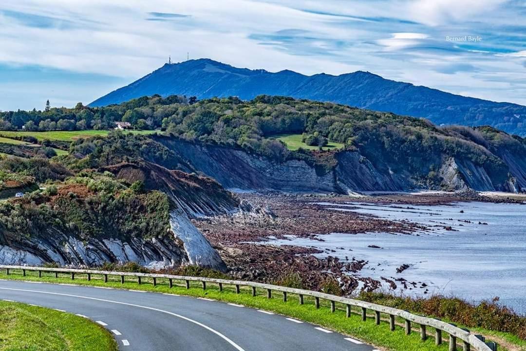 Studio Haut De Bordagain Ciboure Eksteriør billede